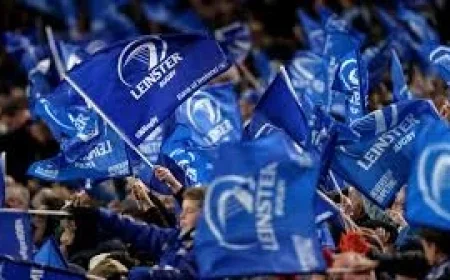 Ireland V Scotland: Win a pair of premium tickets to Leinster v Scarlets