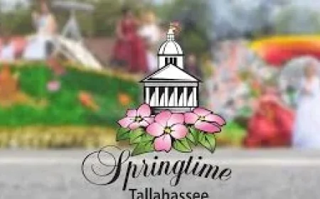 Shannon Bream set for Florida appearances as Springtime Tallahassee names 2026 Grand Parade grand marshal