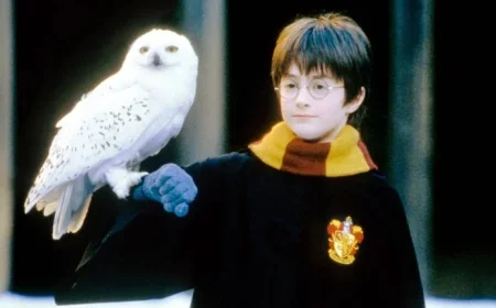 Jack Black: jack black Fantasy Hit Reaches New Streaming Peak as Viewing Patterns Shift