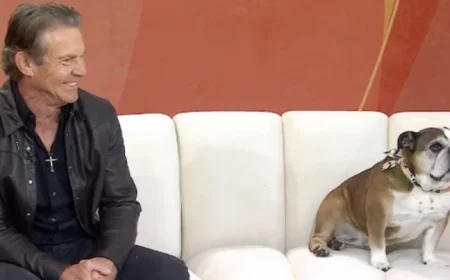 Dennis Quaid’s Dog Peaches Steals Live Segment — Anchors Can’t Stop Laughing