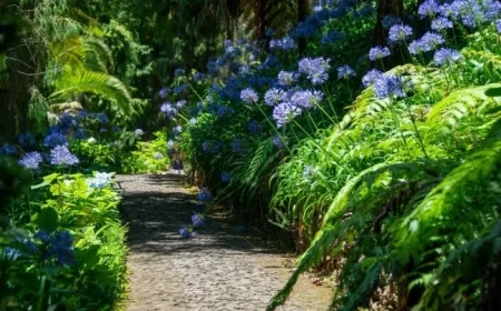 Alan Titchmarsh’s 7 ‘Drought-Tolerant’ Plants Reveal a Watering Paradox