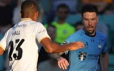 Sydney Fc striker Stamatelopoulos says goals will come ahead of Big Blue