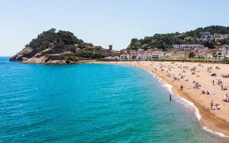 Ryanair Website App Outage: Last-minute warning for passengers as date revealed