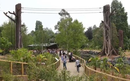 Dublin Zoo Mothers Day offer sparks praise and pushback as All Things Irish Takeover begins