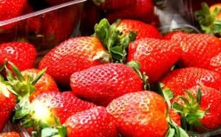 Strawberry Festival 2026: Two towns, two timetables, and the volunteer work behind the joy