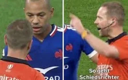 Scotland v France referee: Who is Six Nations official Angus Gardner?