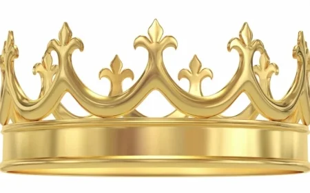 Top 5 Dividend Kings: Over 50 Years of Steady Increases