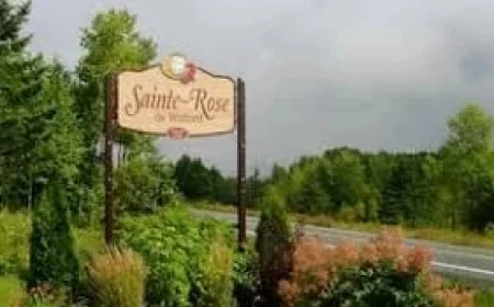 Bus Crash Quebec: Child Killed, 19 Hurt in Rural School Bus Rollover