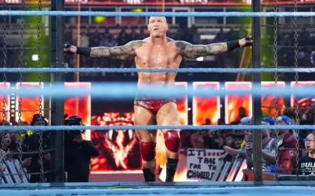 Elimination Chamber Ratings Released by Wrestling Observer Newsletter