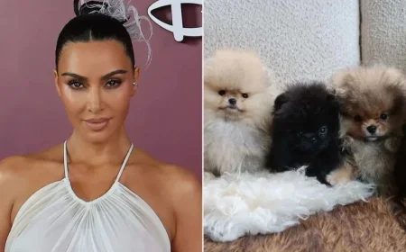 Kim Kardashian Reveals New Puppies for Kids Amid PETA Criticism