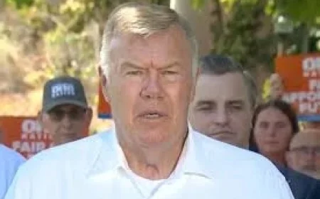 10: One Nation seeks a foothold in Farrer as David Farley nomination reveals a strategic test