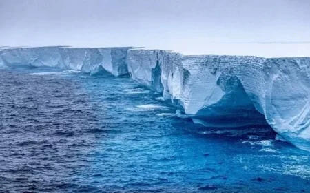 Now: This iceberg was once the biggest in the world — just weeks left
