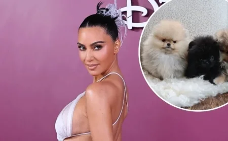 Kim Kardashian Shares Her 4 Puppies Despite PETA Backlash