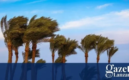 Tenerife Weather Warning Exposes A Tale of Two Coasts — Events Go Ahead While Seas Turn Dangerous