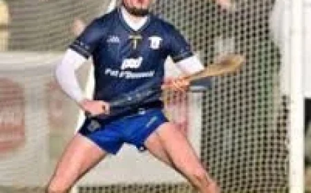 Wexford Gaa: Clare Freshen Up as Sheedy Set for Senior League Debut