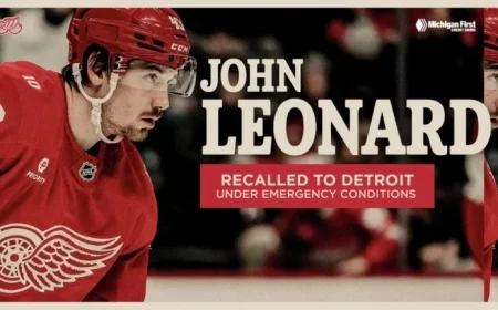 Dylan Larkin Injury as the Red Wings Make an Emergency Recall