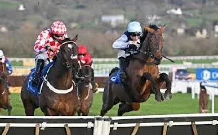 William Hill: Cheltenham Festival 2026 Preview — 28 Races, One British Hope