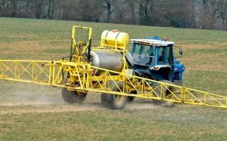 Access Exclusive Content: Subscribe Now