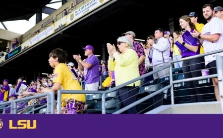 LSU Urges Fans to Travel Safely to Alex Box Stadium Today
