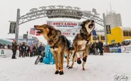Iditarod 54 begins with deep snow and a smaller field — the spectacle is growing even as participation thins