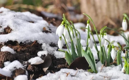 Printemps 2026: Official dates and what Quebecers need to know