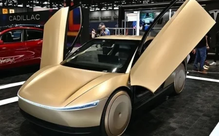 Tesla Stock Price jolts higher after Bank of America relaunches coverage on robotaxi bet