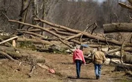 Severe Storms left a private road in Branch County rewriting itself, one broken board at a time