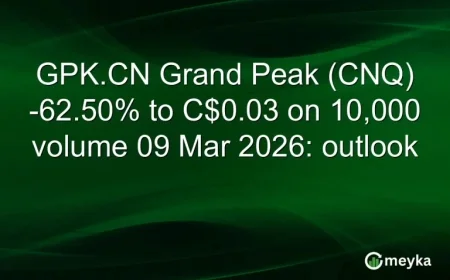 Cnq Stock Plummets 62.5% on 61x Volume Spike — What 10,000 Trades Reveal