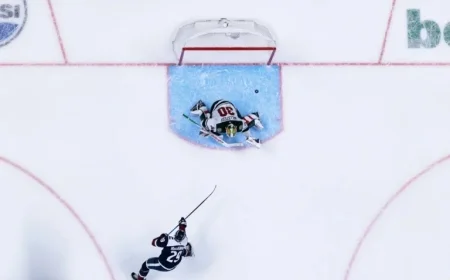 Praising Avalanche and Wild: A Tribute to Their Excellence