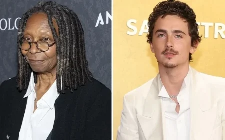 Timothée Chalamet Criticized on The View for Opera Comments