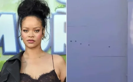 Police Identify and Arrest Suspect in Rihanna Home Shooting with AR-15 Rifle
