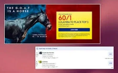 Skybet and Paddy Power 60/1 Arkle offers expose a promotional sprint at Cheltenham