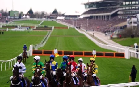 Cheltenham Weather: Major Ground Change on Eve of Festival — Hurdles Repositioned After Irrigation