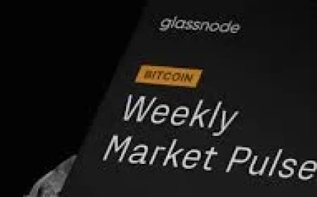 Sell Bitcoin: Crash Reveals Digital Gold Myth and Puts Canadian Holders at Risk