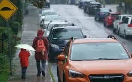 Toronto Weather: 5 Critical Takeaways as 20–40 mm of Rain Threatens the City