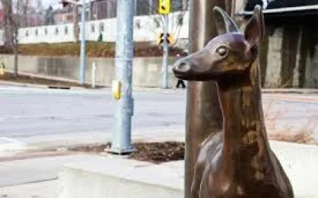 Guelph Weather: Snow, ice and flood risks as Ontario braces for complex storm