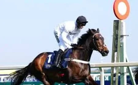 Nicky Henderson: Inside a Quiet Cheltenham Farewell and What It Reveals (5 Observations)