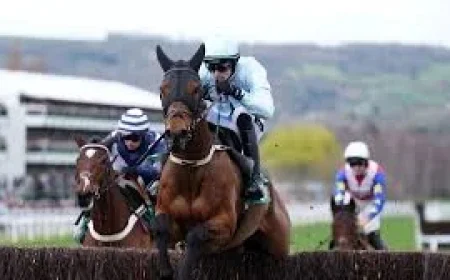 Racing Results: Kargese’s Arkle Upset and a Day of Surprises at Cheltenham