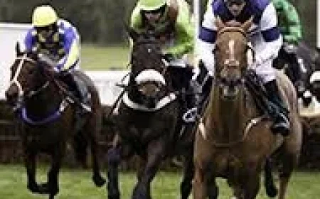 Hansard silence: RSPCA warns as 32 horses have died at Cheltenham Festival in the last decade