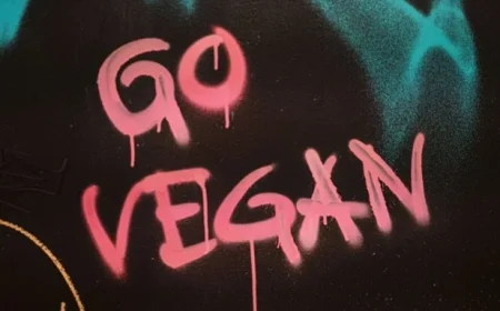 Concordia University study: Vegans develop complex skills to navigate an omnivorous society