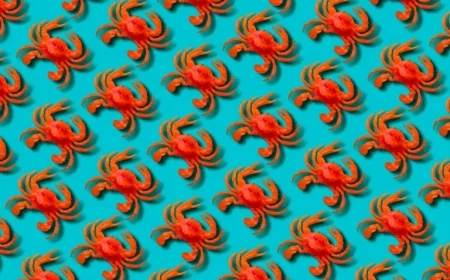 Meta Acquires Moltbook, AI Network Known for Viral Fake Posts