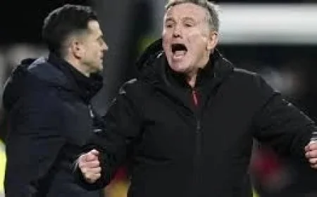 Wrexham Vs Hull City: wrexham vs hull city showdown at Stok Cae Ras