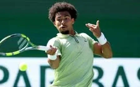 Felix Auger: Coverage Interrupted as Browser Support Becomes an Inflection Point