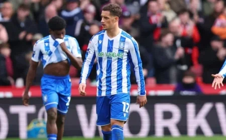 Jerry Yates Contemplates Sheffield Wednesday Future After Luton Loan Reawakens His Form