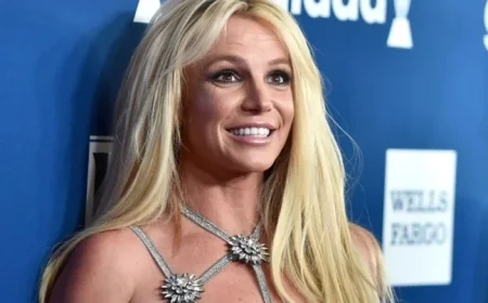 Britney Spears’ Sons Shun Responsibility Following Her Arrest: Source