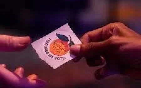 Georgia Special Election: 3 Questions After Runoff Set Between Fuller and Harris