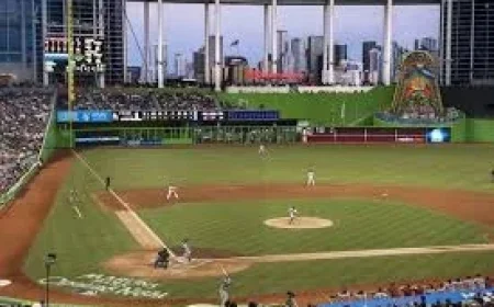 Wbc: Samurai Japan Arrives in Miami — Food, Flights and the LoanDepot Park Stage