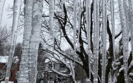 Weather Ice Storm Prompts Montreal School Closures as Quebec Braces