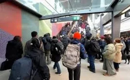 Oc Transpo promises full-fleet recovery while Line 1 numbers flatline at 21 trains