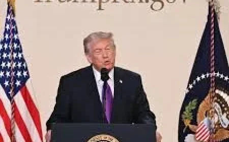 Trumprx Gov thrust into spotlight as Trump pushes drug-cost relief promises